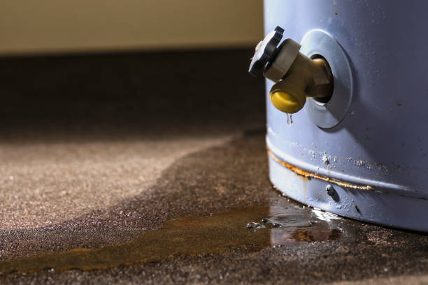 Best Water damage restoration near me  in Magnolia, AR