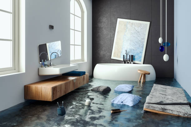 Best Professional water damage repair  in Magnolia, AR