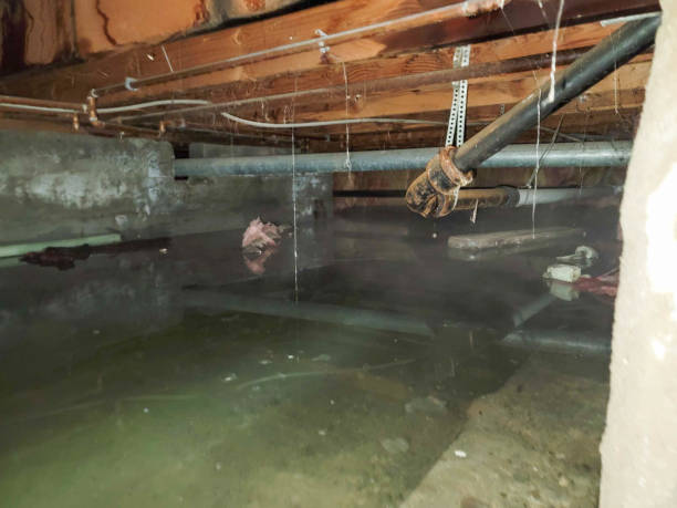 Water damage restoration insurance claims in AR