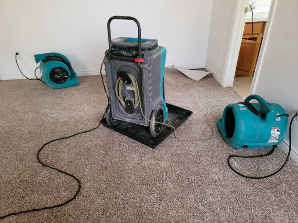 Best Flood damage cleanup  in Magnolia, AR