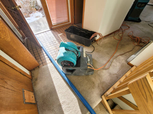 Best Sewage cleanup and water damage restoration  in Magnolia, AR