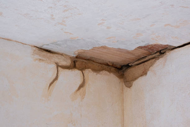 Best Water damage restoration insurance claims  in Magnolia, AR