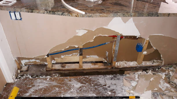 Best Water damage cleanup near me  in Magnolia, AR