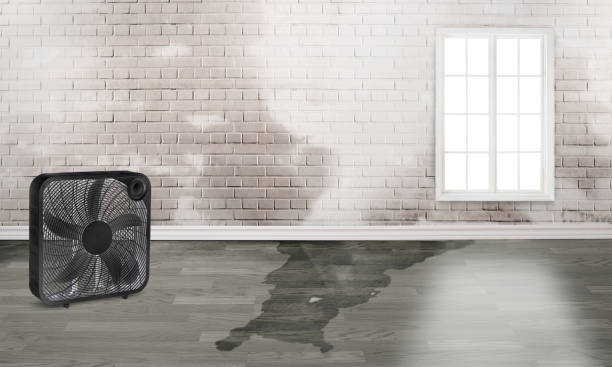 Best Commercial water damage restoration  in Magnolia, AR