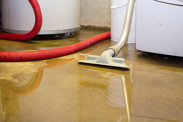 Best Water damage restoration cost  in Magnolia, AR