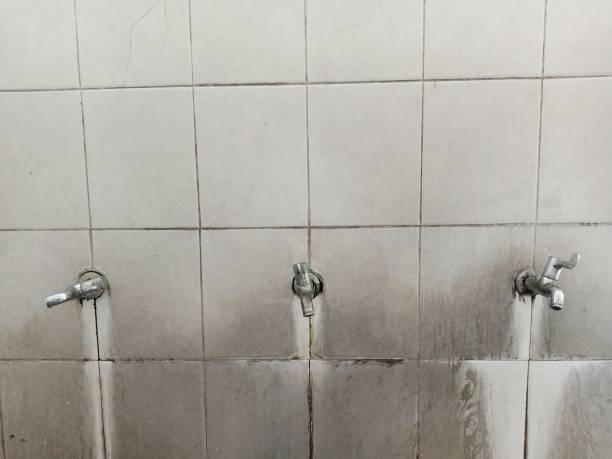 Best Carpet water damage restoration  in Magnolia, AR