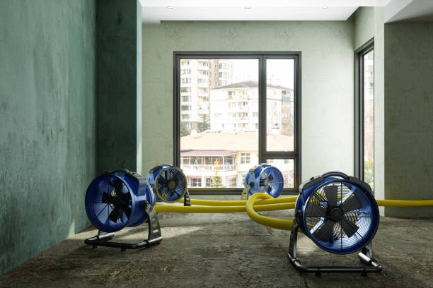 Best Water damage restoration near me  in Magnolia, AR